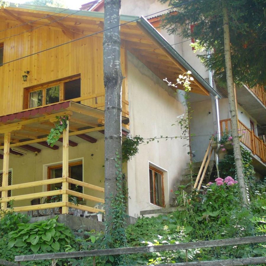 Mountain Sun Guest House Ciflic Exterior foto
